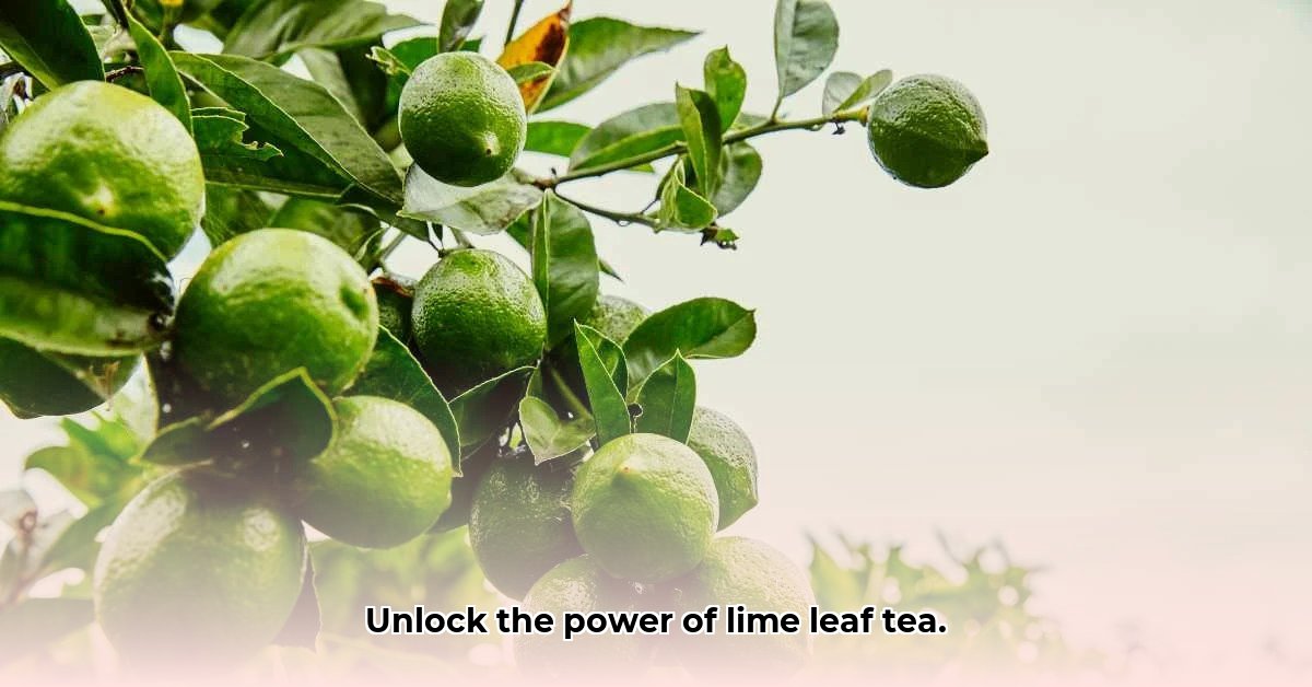 benefits-of-lime-leaf-tea